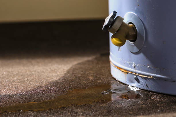 Best Basement water damage restoration  in Lake Shore, MN