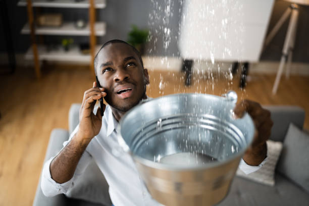 Best Water damage restoration near me  in Lake Shore, MN