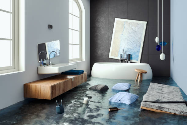 Best Water damage restoration experts  in Lake Shore, MN