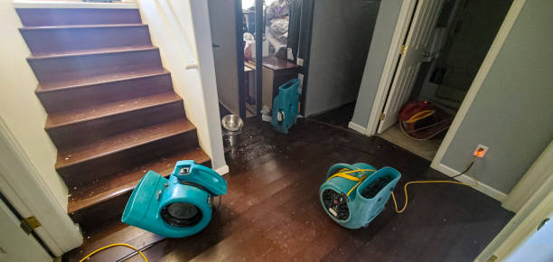 Best Fire Damage Restoration  in Lake Shore, MN