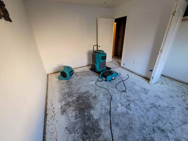 Water damage restoration experts in MN