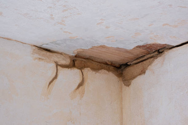 Best Local water damage restoration  in Lake Shore, MN