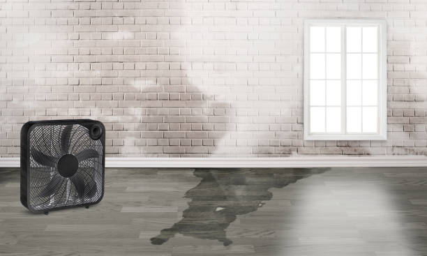 Best Sewage cleanup and water damage restoration  in Lake Shore, MN