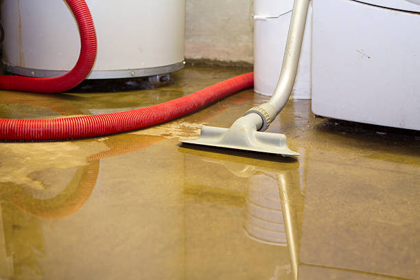 Best Sewage cleanup and water damage restoration  in Lake Shore, MN