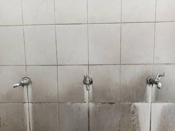 Best 24-hour water damage restoration  in Lake Shore, MN