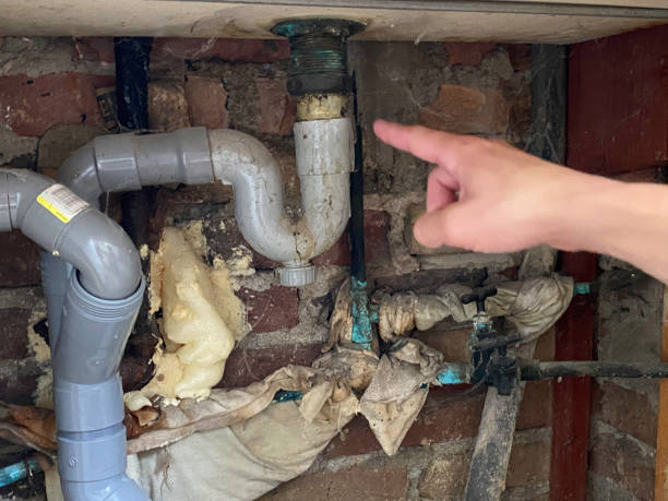 Reliable MN Water damage restoration Solutions