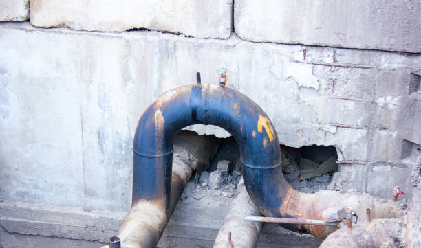 Best Mold removal after water damage  in Lake Shore, MN
